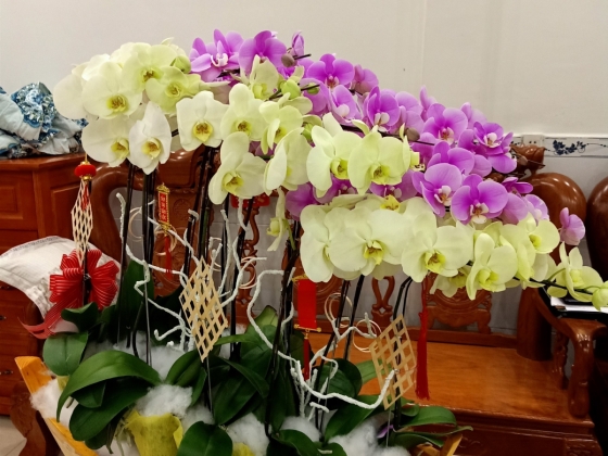 SHOP HOA TƯƠI BÌNH LONG - HOA ĐẸP GIÁ RẺ