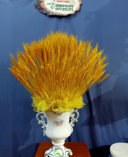 Lúa mạch mừng khai trương