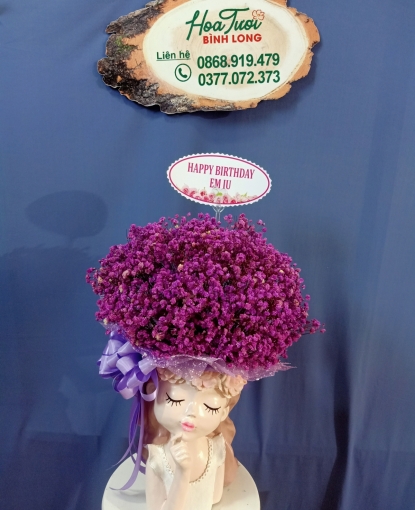 Hoa baby Bình Long Bình Phước