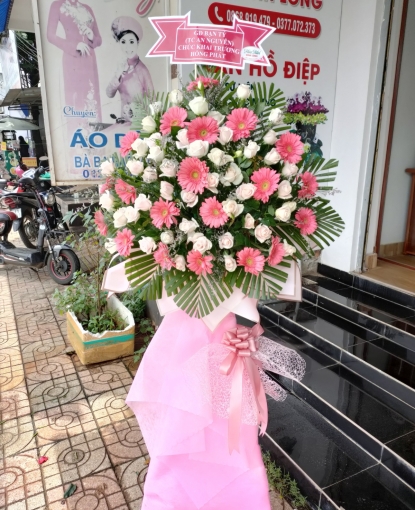 HOA CHÚC MỪNG - HOA TƯƠI BÌNH LONG BÌNH PHƯỚC