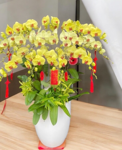Chậu lan hồ điệp vàng 3 tầng làm quà tết mẹ tại bình long bình phước