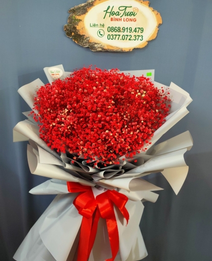 HOA BABY BÓ ĐẸP TẶNG DỊP 20-10