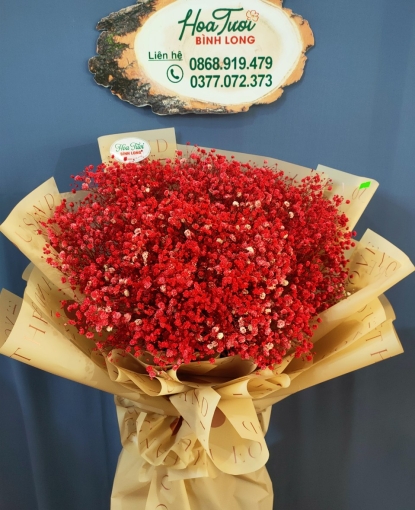 HOA BABY BÓ ĐẸP TẶNG DỊP 20-10