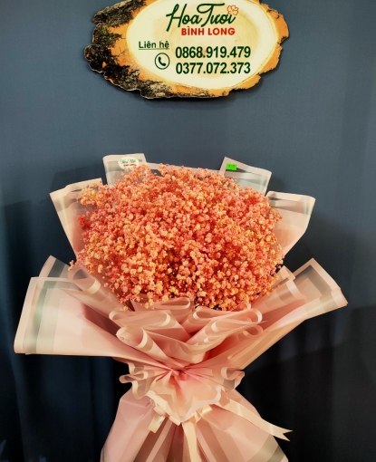 HOA BABY BÓ ĐẸP TẶNG DỊP 20-10