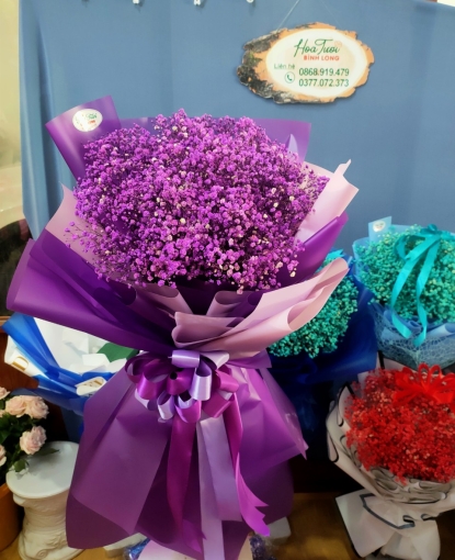 HOA BABY BÓ ĐẸP TẶNG DỊP 20-10