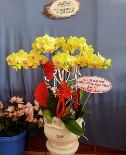 Cửa hàng hoa lan hồ điệp ở tại Bình Phước