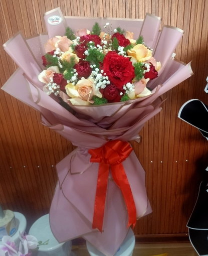 MẪU BÓ MỚI