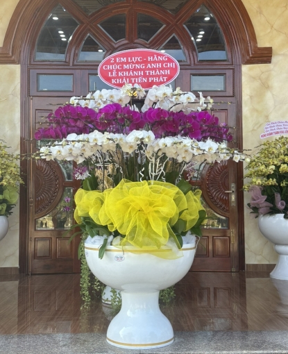 MẪU LAN HỒ ĐIỆP
