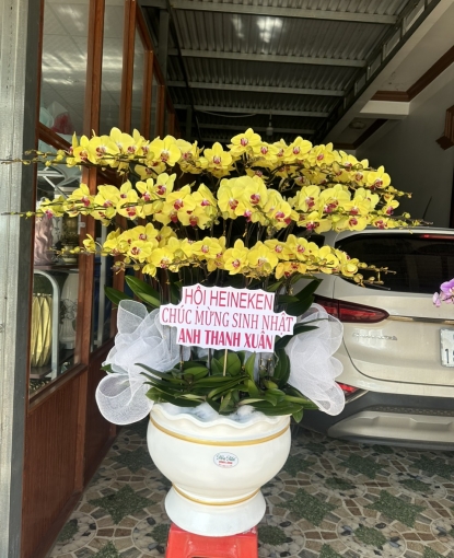 LAN HỒ ĐIỆP MẪU 17