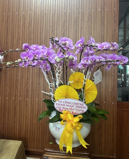 LAN HỒ ĐIỆP MẪU 18