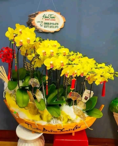 LAN HỒ ĐIỆP MẪU 21