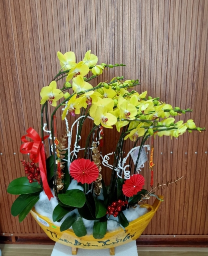 LAN HỒ ĐIỆP TẾT MẪU 10