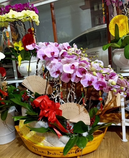 LAN HỒ ĐIỆP TẾT MẪU 9
