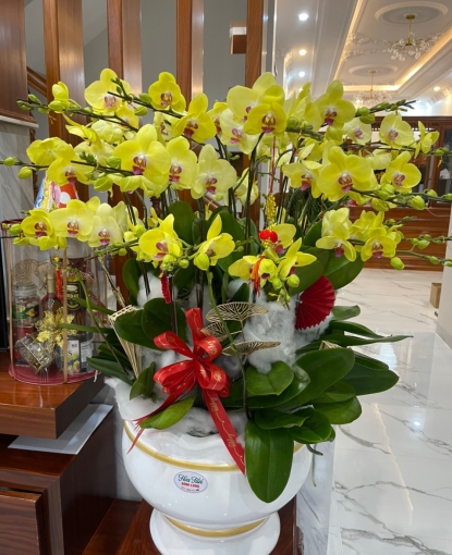 LAN HỒ ĐIỆP TẾT MẪU 8