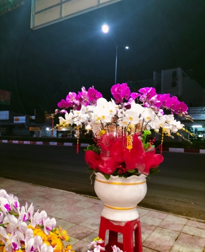 LAN HỒ ĐIỆP TẾT MẪU 18