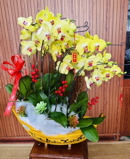 LAN HỒ ĐIỆP TẾT MẪU 14