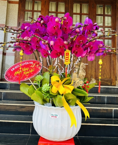 LAN HỒ ĐIỆP TẾT MẪU 12